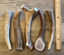 Load image into Gallery viewer, Large Whole Antler Chew (1 chew)