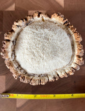 Load image into Gallery viewer, GIANT 4” A-GRADE ELK ANTLER BURR Crafting or Dog Chew (READ DESCRIPTION)